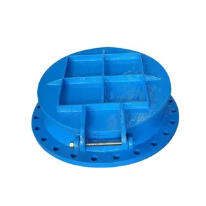 Válvula de aleta de hierro dúctil de tipo redondo de alta calidad, válvula de aleta de hierro fundido para tratamiento de aguas residuales de tuberías