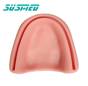 Modello di ausili didattici in Silicone modello dentale per studenti di medicina modello dentale - Product Image 2