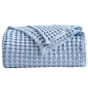 Customized Solid Plain Vintage Cotton/Bamboo Fiber Woven Four Seasons Anti-Pilling Airline Travel <b>Blanket</b> Pillow 2-in-1 Set Soft - Product Image 2