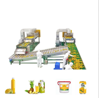 Mango verwerkingslijn: mangopulp, mangopuree, mangosap, gedroogde mangobladen en mangosaus