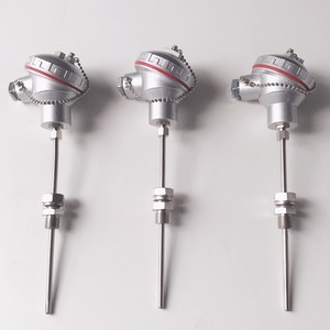 Haichen Wzpk Duplex Ss316 Pt100 Type Schede Rtd - Product Image 4