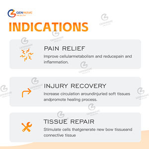 Alat terapi PEMF Equine profesional 24700Gauss 5 Tesla untuk pemulihan lamess tubuh kuda - Product Image 5