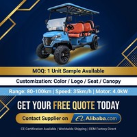 Carrito de Golf Eléctrico Tarion con Diseño 4+2 para 6 Pasajeros, Motor de CA de 4kW, Suspensión MacPherson, Audio, Freno Hidráulico, 35KM/H, 90km de Autonomía