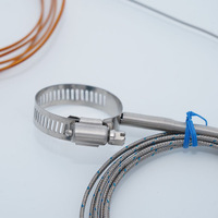 Cables de Compensación para Termopares, Cables de Sensor de Temperatura de Platino PT100 Tipo J/T/N/K Personalizados