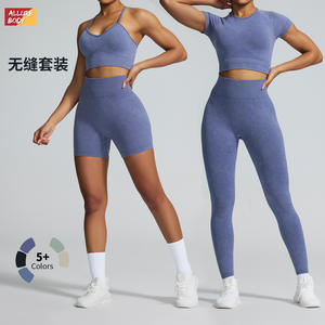 Ensemble de sport transfrontalier pour femme : Legging de yoga taille haute sans couture et haut court à manches longues, couleur unie, côtelé, pour le fitness - Product Image 4