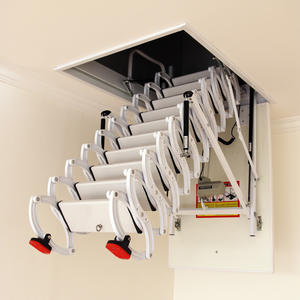 Échelle de portique électrique à kg, en titane, avec télécommande, pliable, pour le toit - Product Image 1