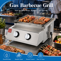 Barbecue au gaz commercial en acier inoxydable, machine à kebab avec contrôle de température pour restaurant, hôtel, extérieur
