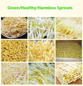 Máquina Peladora <span class=keywords><strong>de</strong></span> <span class=keywords><strong>Brotes</strong></span> para <span class=keywords><strong>Brotes</strong></span> <span class=keywords><strong>de</strong></span> <span class=keywords><strong>Soja</strong></span>, Máquina <span class=keywords><strong>de</strong></span> Lavado y Limpieza en Seco, Máquina Peladora <span class=keywords><strong>de</strong></span> <span class=keywords><strong>Brotes</strong></span> <span class=keywords><strong>de</strong></span> Frijol Mung - Product Image 6