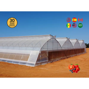 بيت محمي زراعي متكامل اقتصادي متعدد المساحات بفيلم بلاستيكي لزراعة الطماطم - Product Image 1
