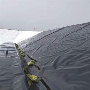 Geomembrana de HDPE de 1 mm y 1,5 mm para Revestimiento Interior de Depósitos de Agua de Riego, Estaciones de Esquí Acuático y Piscinas de <span class=keywords><strong>Bangui</strong></span> - Product Image 5