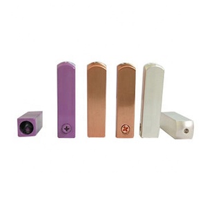 Juego <span class=keywords><strong>de</strong></span> 4 puntas doradas y plateadas decorativas, Aglets rectangulares, puntas <span class=keywords><strong>de</strong></span> encaje para <span class=keywords><strong>zapatos</strong></span>, Aglets rectangulares <span class=keywords><strong>de</strong></span> metal con destornillador - Product Image 4