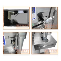 DZD-220 petit sac poudre alimentaire manioc café amidon levure vitamine farine assaisonnement poudre emballage pesage remplissage Machine manuel