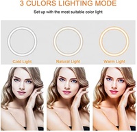 Mode 10 pouces anneau lumineux 12W 3 Modes d'éclairage 10 luminosité réglable Led Selfie anneau lumineux avec support pour Tiktok et youtube