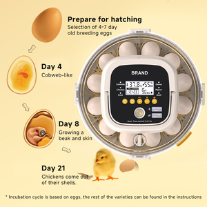 Price Low Price Dual Power Automatic Chicken Duck Goose Quail Egg Turning 18 Pcs <strong>Incubator</strong> for Home Use With Light - Product Image 6