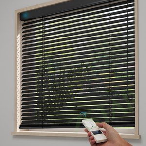 Outdoor Built-In Horizontal Modern Motorized <b>Roller</b> <b>Blinds</b> Electric Window <b>Blinds</b> Fabric Customized - Product Image 3