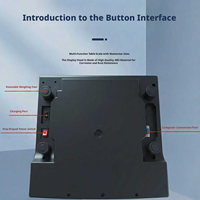 Báscula Electrónica Inalámbrica de Alta Precisión BH-30 de Fábrica Directa, Conectada a Software ERP de Computadora, Plataforma ABS