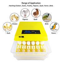 Incubateur solaire automatique pour œufs, incubateur à œufs de poulet, couveuse à œufs de poulet, alimentation double 220V/110V/12V, Chine