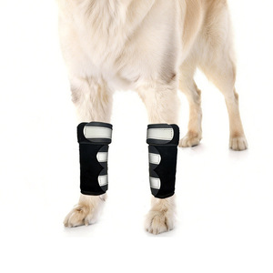 Soporte Ajustable y Transpirable <span class=keywords><strong>de</strong></span> Neopreno para <span class=keywords><strong>Rodilla</strong></span>/Codo <span class=keywords><strong>de</strong></span> Mascotas con Cierre <span class=keywords><strong>de</strong></span> Gancho y Bucle, Ligero, para Alivio del <span class=keywords><strong>Dolor</strong></span> Articular en Perros y Gatos, Bajo MOQ <span class=keywords><strong>de</strong></span> Fábrica - Product Image 2