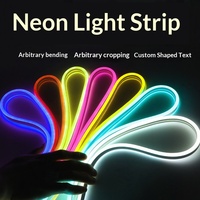 Ruban LED néon flexible en silicone étanche 12V 24V pour enseignes extérieures, lettres lumineuses, changement de couleur RGB, rouleau de 5m, vente en gros