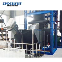 Usine de production de glace en tubes Focusun - Entreprise complète de glace en sacs, prête à l'emploi