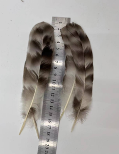 Plumas de <span class=keywords><strong>Pollo</strong></span> Naturales de 15-20 cm con Caña, Azules y Blancas, Plumas de <span class=keywords><strong>Pollo</strong></span> Salvaje, Accesorios Decorativos para Manualidades - Product Image 5