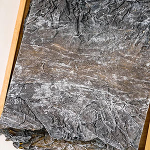 Algas marinas de algas secas de origen sostenible: lo mejor para <span class=keywords><strong>sushi</strong></span> casero - Product Image 5