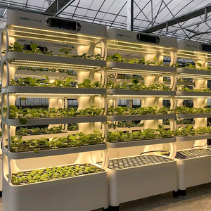 Cultivo de Lechuga sin Tierra, Sistema de Cultivo Inteligente para Interiores con Altura Ajustable y Múltiples Cápsulas, Listo para Usar - Product Image 1