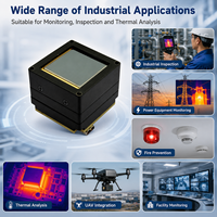 Module de caméra infrarouge MIPI SDI Thermal Imaging Core BT1120, contrôle UART, 5-20V, pour intégration OEM