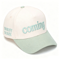 Casquettes de baseball personnalisées en coton bicolore pour hommes et femmes, avec logo brodé 3D, 5 panneaux, haute qualité, pour sports de plein air