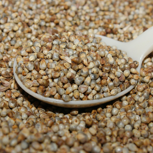 Millet perlé indien, grain de choix - Product Image 1