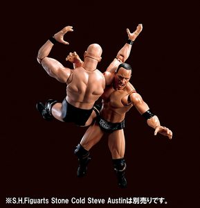 Set di Action Figure da Collezione in Plastica Personalizzate OEM, Wrestling 3D WWE Doubles Competition, Giocattoli Anime - Product Image 2