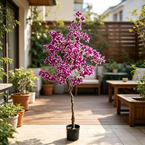 High Quality Real Touch Artificial Silk Bougainvillea <b>Trees</b> Durable Indoor Desktop Plants - Product Image 5