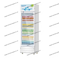 YLC-288 porte unique refroidissement direct boissons réfrigérateur vitrine crème glacée affichage congélateur pour hôtels extérieur RV électrique