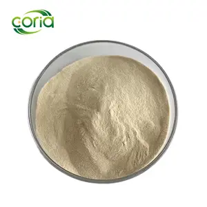 Hydroxycitric Acid 95% HCA Powder CAS 90045-23-1 Garcinia Cambogia Extract Powder