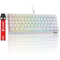 Clavier de jeu à interrupteurs bleus, compact 60 %, 61 touches, en PBT, filaire USB Type-C, rétroéclairage arc-en-ciel, clavier mécanique pour ordinateur de bureau