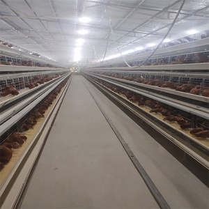 Tự động lớp trứng đẻ pin lồng Mới Thép gà Coop để sử dụng nhà và trang trại có sẵn để bán - Product Image 6