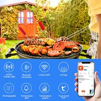 Thermopro — thermomètre à viande WiFi et Bluetooth, mesure à Distance infinie, alarme pour les fumeurs