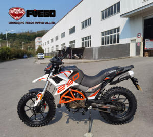 <span class=keywords><strong>Moto</strong></span> pour adultes Enduro Cross Mororbike <span class=keywords><strong>250cc</strong></span> <span class=keywords><strong>Trail</strong></span> Ninja, FUEGO POWER TEKKEN - Product Image 2