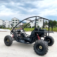 Voiture électrique pour adultes LNA Never Quits 1500w