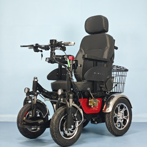 Scooter électrique tout-terrain puissant, moteur 800w/1000W, robuste, longue autonomie, scooter à 4 roues pour l'aventure hors route - Product Image 4