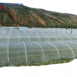 100g Tomato Protect Insect Proof Mesh Fine Mesh Net Greenhouse Anti Insect Net For Agriculture