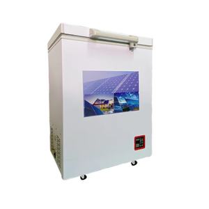 <span class=keywords><strong>Congelador</strong></span> <span class=keywords><strong>horizontal</strong></span> profundo de la puerta abierta de la espuma del <span class=keywords><strong>mini</strong></span> <span class=keywords><strong>congelador</strong></span> de la energía solar de la energía 12V DC - Product Image 3