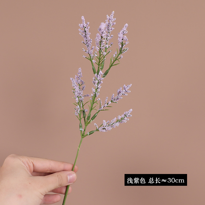 Violet clair (une seule branche)