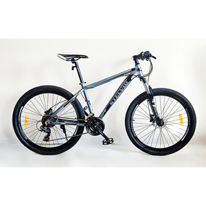 <span class=keywords><strong>Vélo</strong></span> de ville pour <span class=keywords><strong>femme</strong></span> <span class=keywords><strong>26</strong></span> <span class=keywords><strong>pouces</strong></span>, 21/27 vitesses, avec fourche en acier allié, vente en gros - Product Image 5