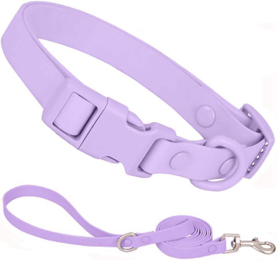 Purple+leash