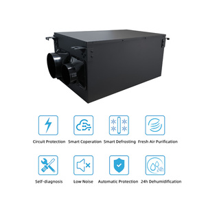 <span class=keywords><strong>Deshumidificador</strong></span> de compresor doméstico de 60 L/Dh con purificación de aire Secador de aire de bajo ruido y eficiencia energética para oficina de sótano - Product Image 5