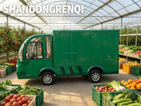 Chariot de transport électrique zéro émission 72V 4KW AC pour bagages et entretien en hôtels et complexes hôteliers sur les îles de Bali et de Phuket