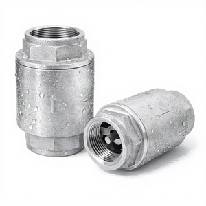 Clapet anti-retour à ressort en acier inoxydable, filetage NPT 1 pouce, prévention du reflux unidirectionnel, PN16, joint en PTFE pour système d'eau de pompe - Product Image 1