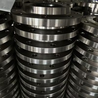 Bride aveugle en acier duplex F55 32760 Classe 150 DN200, la mieux notée, pour pipelines offshore en environnements agressifs