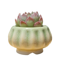 Nouveaux pots à plantes succulentes en céramique écologiques en forme de citrouille, créatifs, uniques, avec glaçure craquelée arc-en-ciel, mignons petits pots